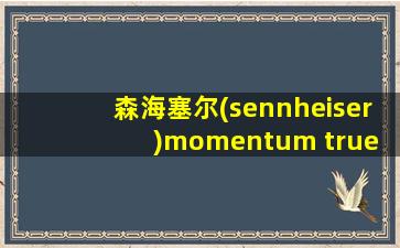 森海塞尔(sennheiser)momentum true wireless